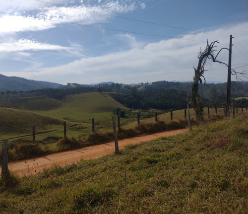 Imagem 30 de 30 de G30- Terreno Com Ótima Vista Para À Natureza