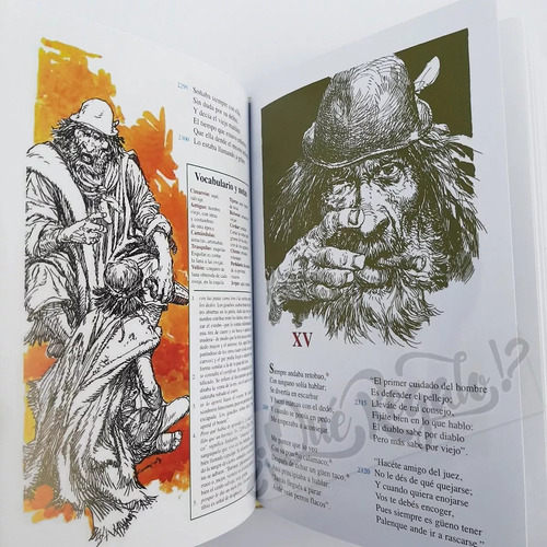 Libro Martin Fierro - Anotada Ilustrada Con Vocabulario -
