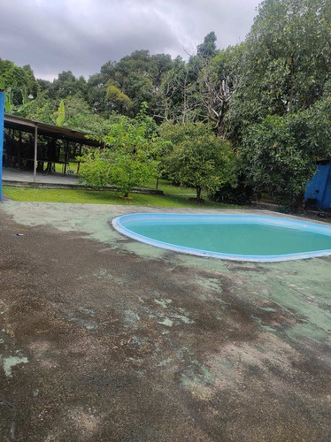 Imagem 13 de 15 de Cod.802 Sítio Em Barro Branco - Duque De Caxias - 13257