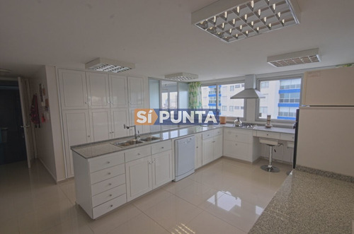 Imagen 3 de 30 de Apartamento En Venta - Brava