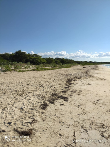 Vendo Terreno Con Primera Linea De Playa En Pedernales Mismo Pueblo