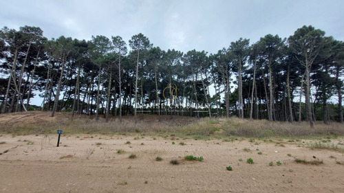 Lote En Venta Pinamar Norte Barrio Bosques