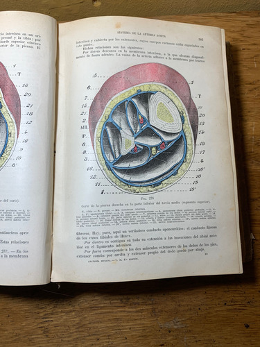 Tratando De Anatomía Humana, Segundo Tomo. 1933 (Usado)