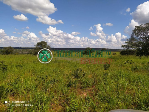 Imagem 13 de 14 de Fazenda Para Venda Em Barra Do Garças - Mt (cód. 192) Fazenda De Pecuária Em Toricueije Para Uso Em Pecuária.