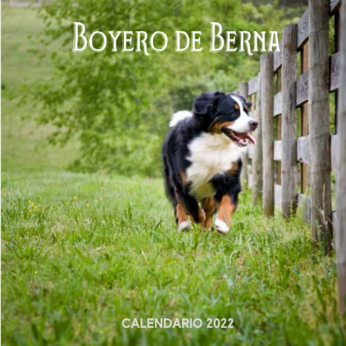 Boyero De Berna Calendario 2022: Calendario 2022 8 5''x8 5''