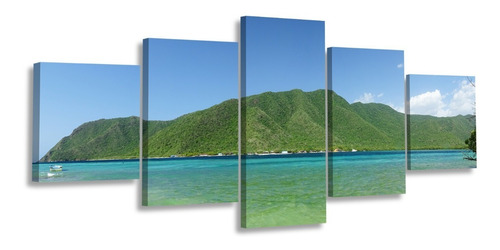 Cuadro Playa La Cienaga Ocumare Costa Multipanel Foto Canvas