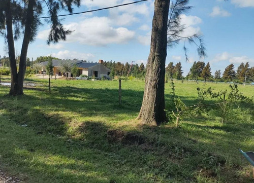 Terreno Venta 5000 Mts 2 Totales - Estancia Las Malvinas