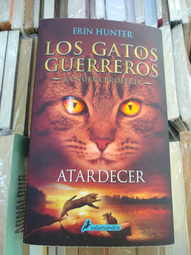 Los Gatos Guerreros 6 Atardecer Salamandra 