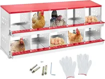 Comprar Caja Nido De Gallinas Ponedoras De Huevos 10 Gallinas