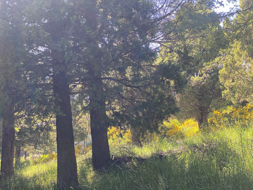 Terreno En Venta En Tierra De Sol