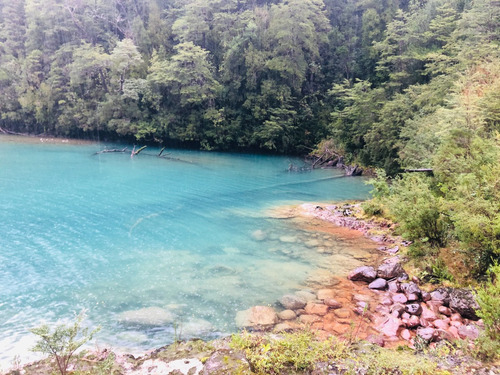Lindo Campo Con Laguna Natural En Llanada Grande
