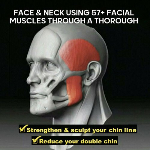 Imagen 2 de 10 de 3 Piezas Ejercicios De Mandíbula De Fitness Facial