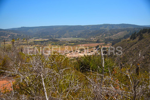 Parcela Campomar -tunquen , Primera Linea