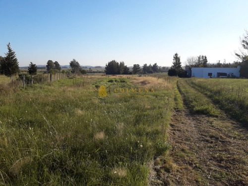 Campo En Ruta 39 - Consulta!!!!!!-ref:3599