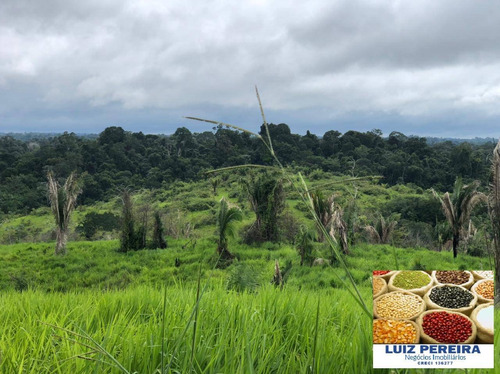 Imagem 7 de 15 de Fazenda À Venda Em Pacaja - Pa - De 1.900 Alqueires (dupla Aptidão) - 1649