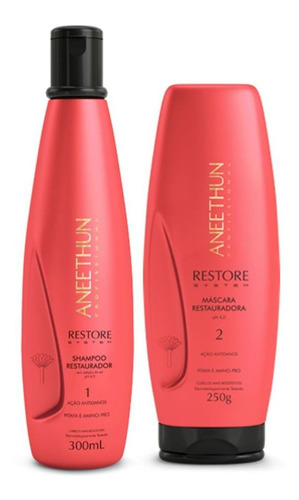 Restauração Aneethun Shampoo + Máscara Restore System