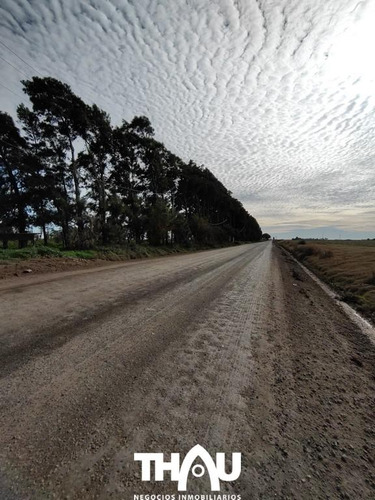 Campo En Puerto Gral San Martin
