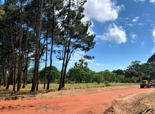 Lote En Las Hortensias, Punta Del Este - Ref : Pbi2738