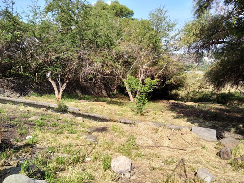 Terreno Urbano En Las Ánimas, Temixco, Morelos - Ber-782-tu