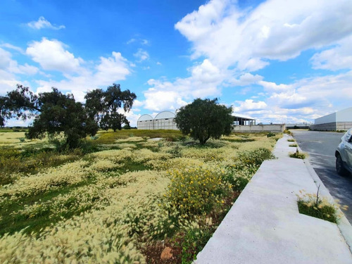 Imagen 8 de 10 de Terreno Industrial En Venta En Huitzila Tizayuca Hidalgo