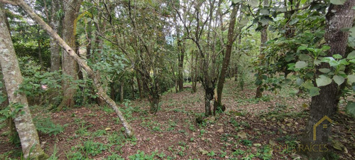 Terreno Enventa En Piedra De Agua En Jilotepec Veracruz