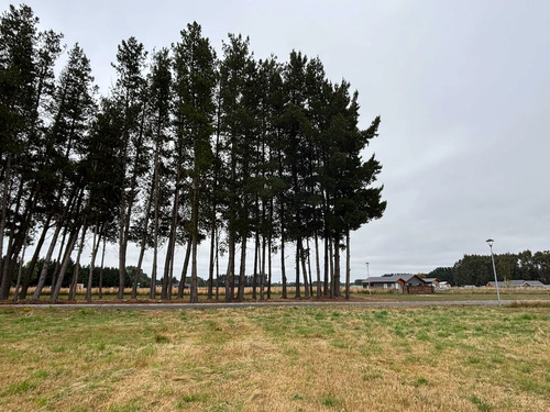 Venta De Parcela En Frutillar (172561)