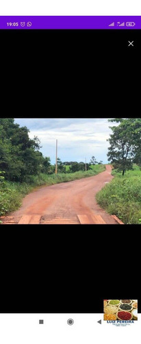 Imagem 9 de 10 de Fazenda À Venda Em Dois Irmãos - To - De 124 Alqueirões (dupla Aptidão) - 1627