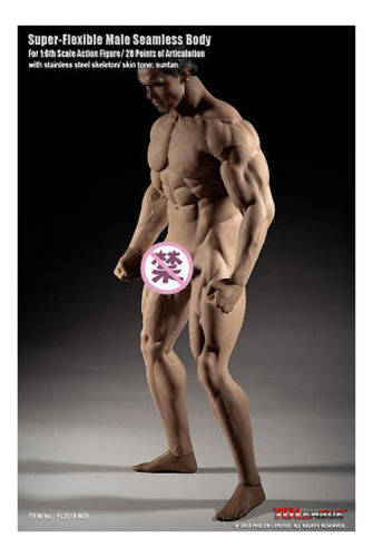 Jj Modelo De Cuerpo Musculoso Tbleague Phicen De Hombre 1/6