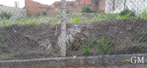 Imagem 3 de 3 de Terreno Para Venda Em Presidente Prudente, Jardim Paulista - Tbv66301_2-1166751