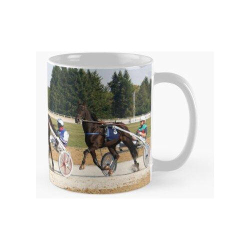 Taza Jinetes Y Caballos Arneses Corriendo En El Hipódromo. C