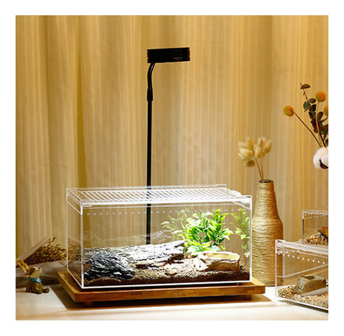 Caja De Cría De Tortugas Para Terrario, Tanque De Terrario P