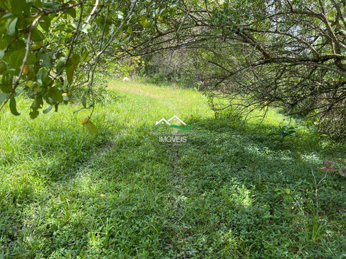 Imagem 20 de 20 de Chácara, Area Rural, Pedro De Toledo - R$ 100 Mil, Cod: 607 - V607