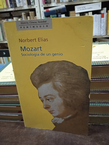 Libro-mozart Sociologia De Un Genio