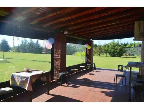 Imagen 3 de 22 de Quinta Venta 5000m2 Mercedes Buenos Aires