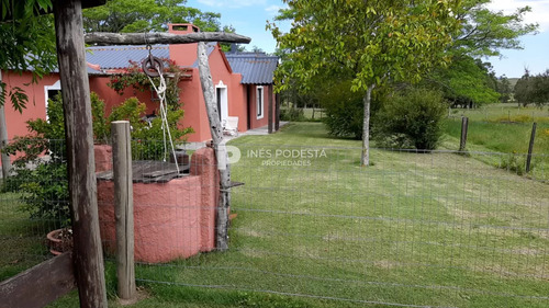 Chacra En Pan De Azúcar