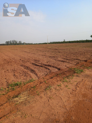 Imagem 4 de 7 de Área Em Jacutinga - Águas De Santa Bárbara, Sp - 3828