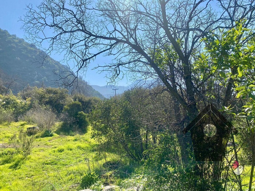 Lo Castro, Quebrada De Alvarado, Olmue. 5.000m2