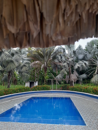 Imagen 6 de 6 de Casa Finca Con Piscina, Lago Y Pozo