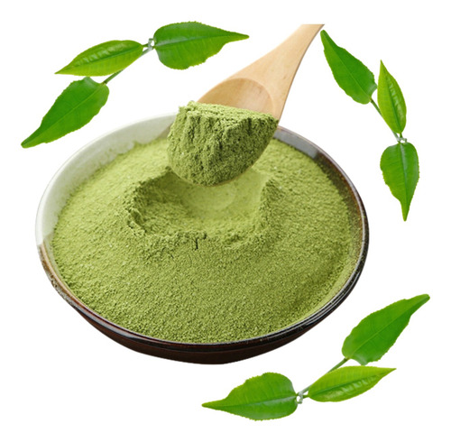 Té Matcha 1 Kg Importado