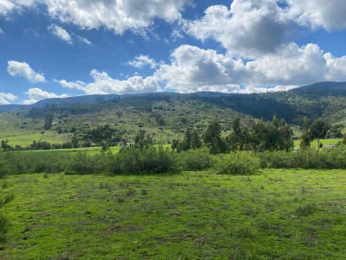Terrenos De 20.000mts2 A 10 Km De Maitencillo