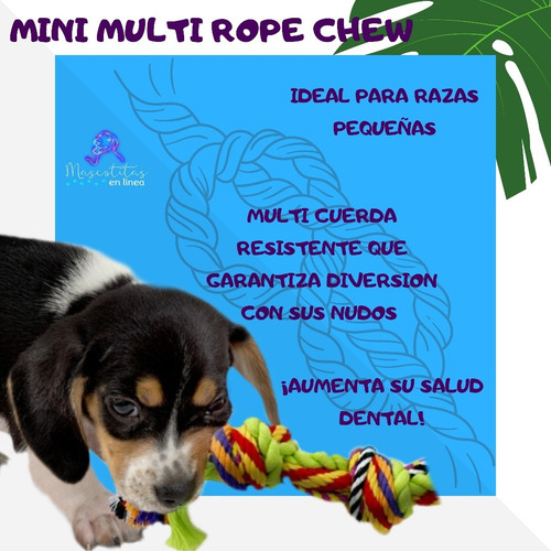 Imagen 2 de 6 de Mini Multirope Petstages Cuerda De Morder Perro Gato Mascota