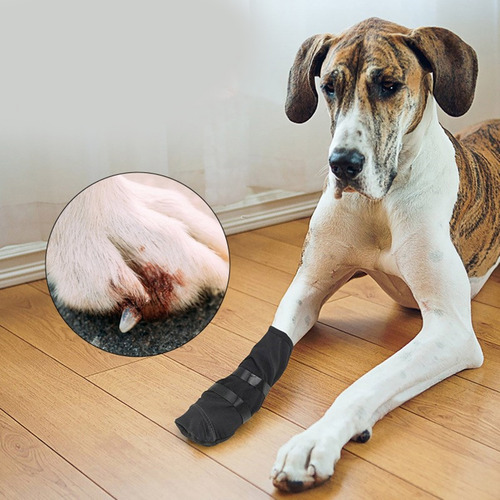 Bota Protectora Para Patas (xl), Tamaño Grande, Resistente A