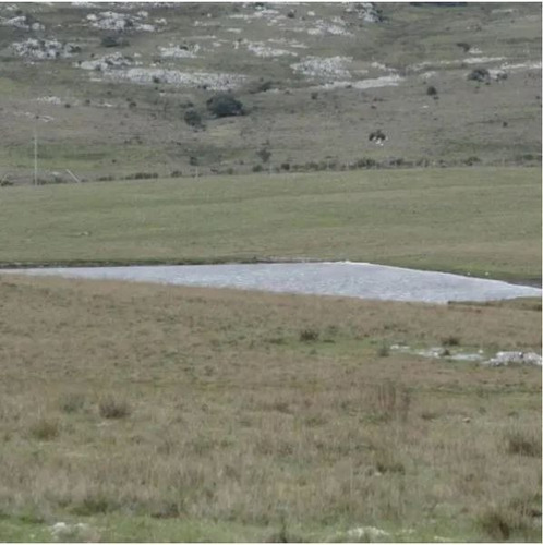 Campo En Venta