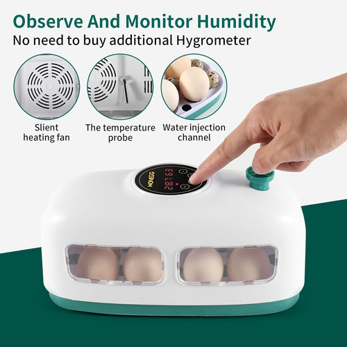 Incubadora C/control De Temperatura; 8 Huevos, Azxiviz