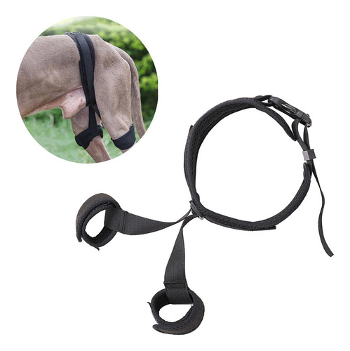 Soporte De Cadera Para Perro Para Patas Traseras Soporte S