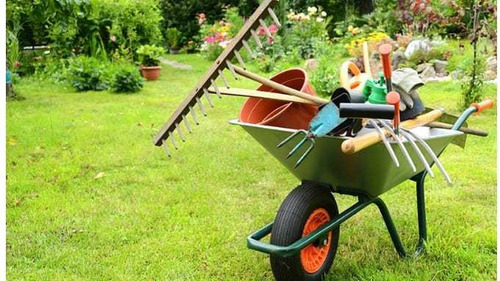 Imagem 3 de 3 de Jardinagem Garantida