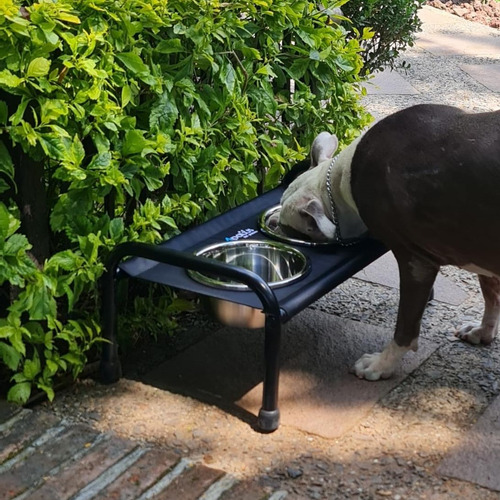 Comedero Elevado Mediano Para Perros