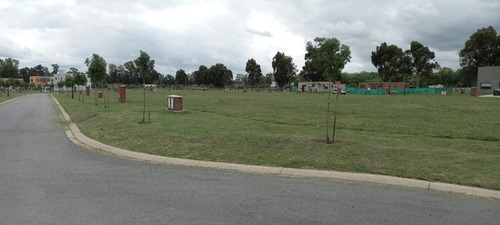 Imagen 4 de 12 de Venta-terreno -pilar- Santo Tomas-interno