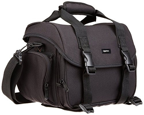 Bolsa De Gadgets Dslr Grande De Amazonbasics (interior Gris)