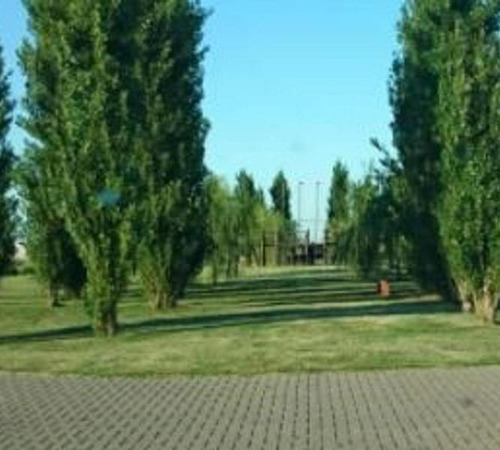 Imagen 6 de 7 de Las Tardes. Frente Sur. La Mejor Orientación. Sobre Avenida